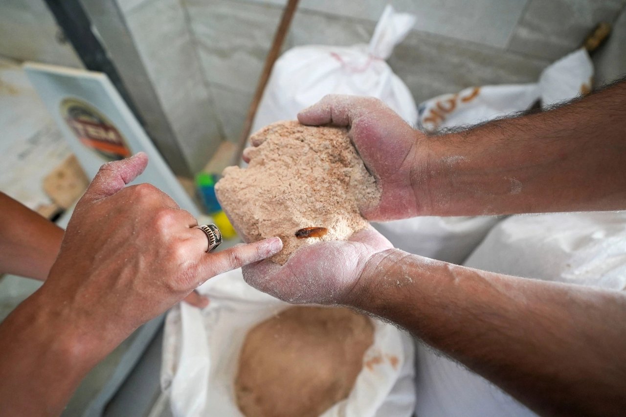 Un fabrikasında şoke eden görüntü