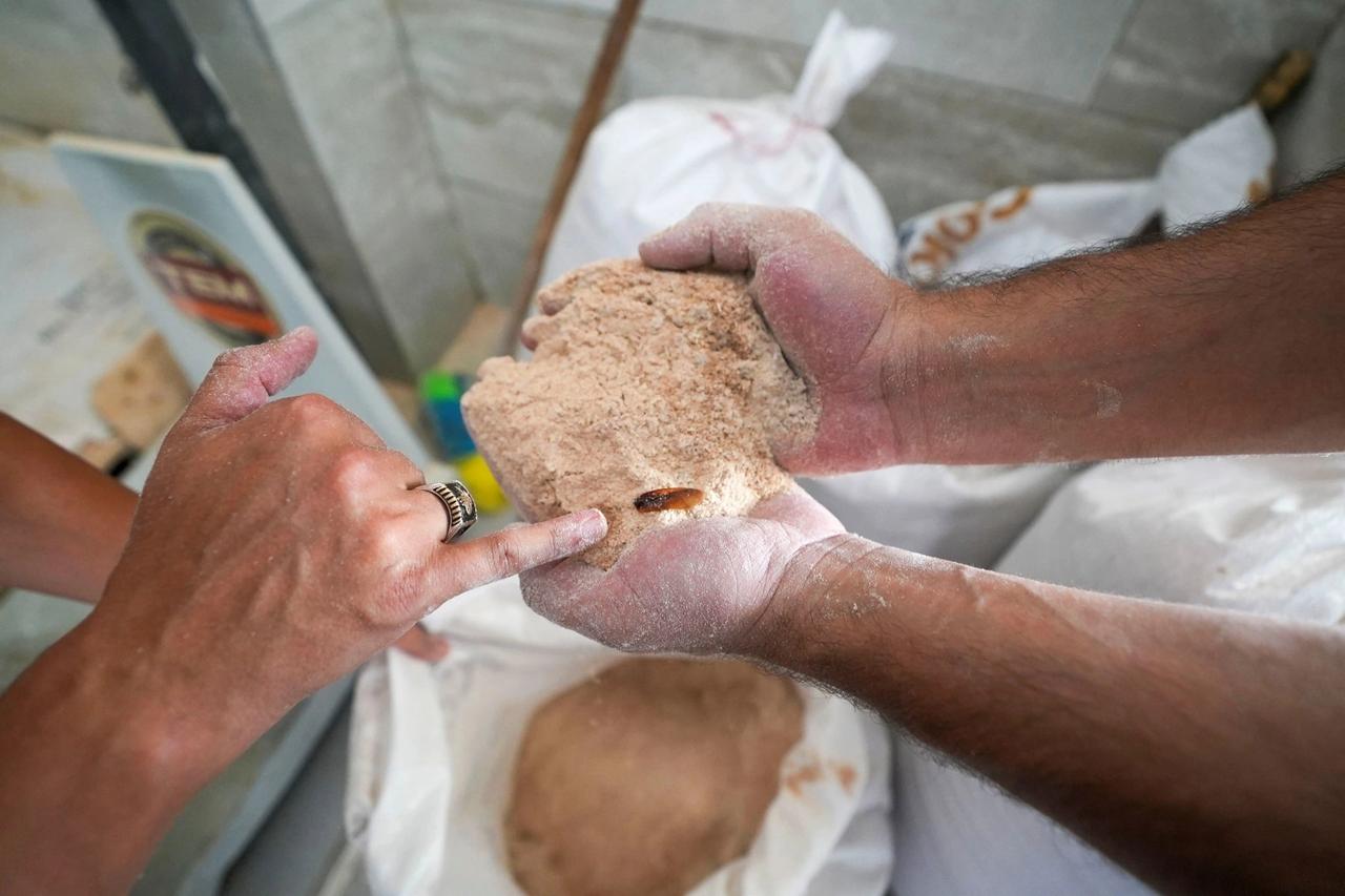 30 ton böceklenmiş bozuk un ele geçirildi
