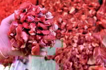 Kuzu eti vurgunu: Fiyatlara 100 TL sahte marka zammı