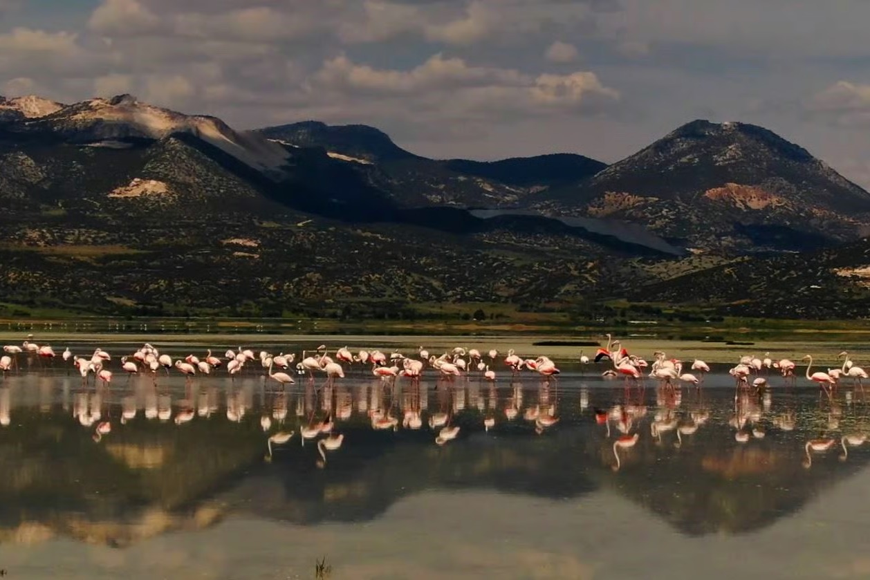 Bir asırlık göl sessizce yok oldu