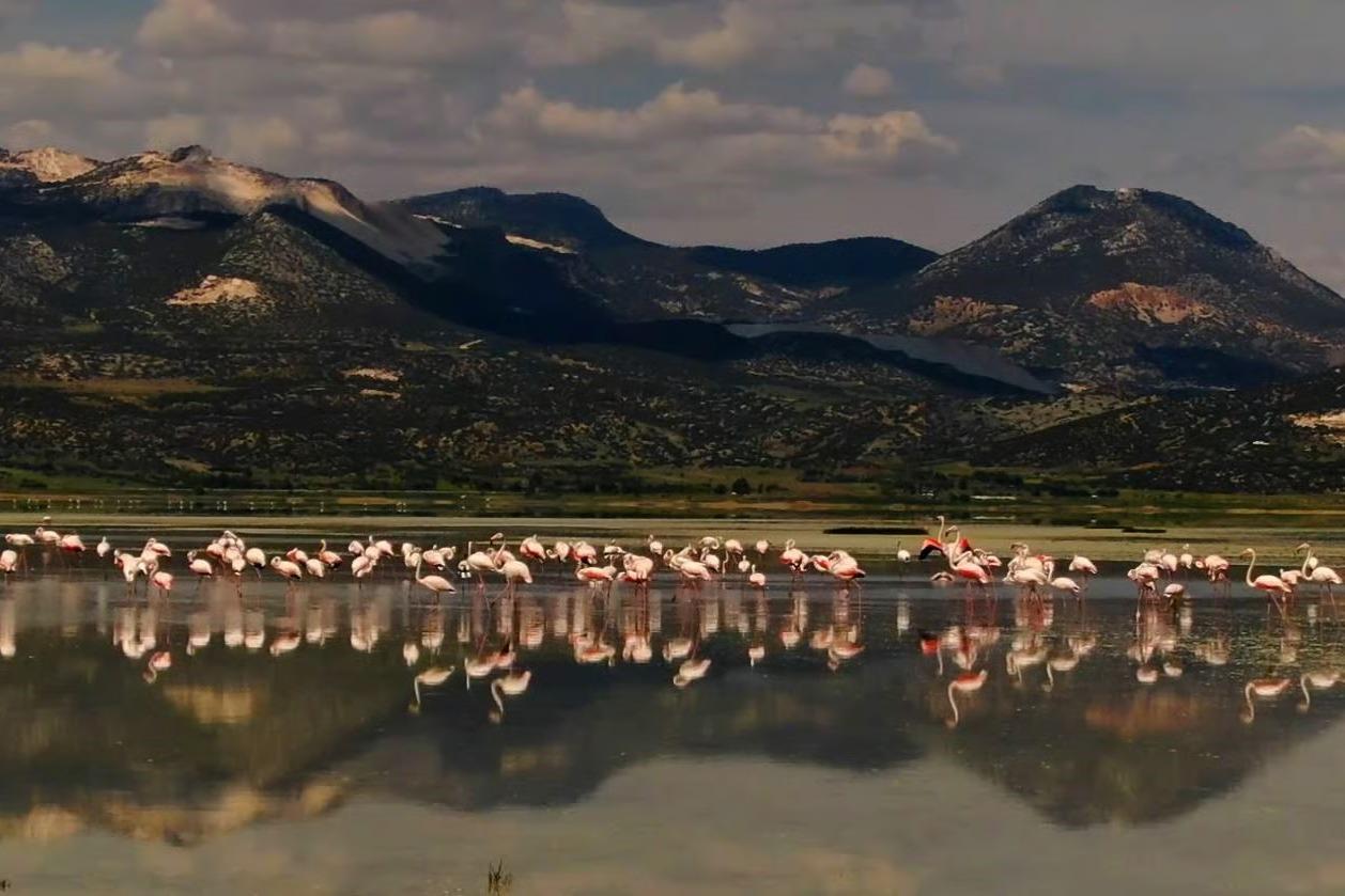 Bir asırlık göl sessizce yok oldu
