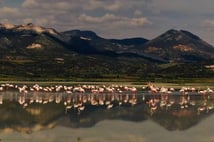 Bir zamanlar flamingolar uçardı: Yarışlı Gölü artık yok