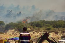 Foça'daki orman yanına havadan ve karadan müdahale ediliyor