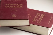 TDK 2025 verilerini açıkladı: En çok aranan kelime sözlükte yok