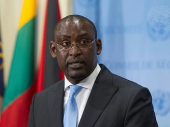 Mali FM Rejects Fears of Capital Security Collapse