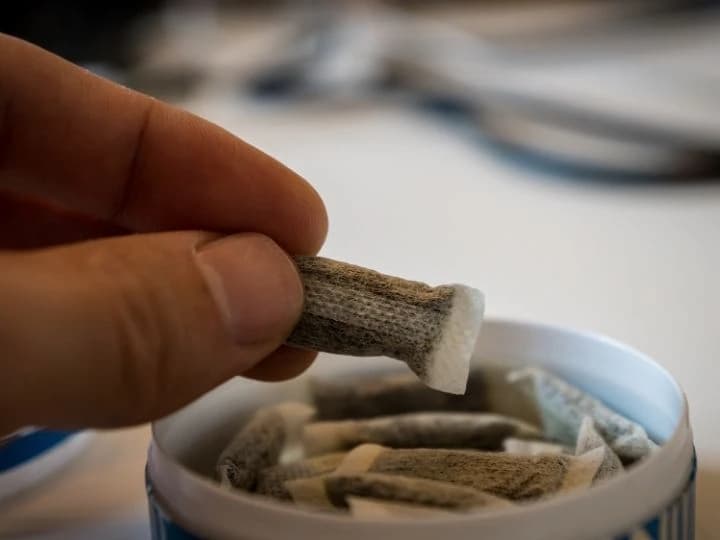 Snus nedir