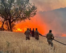İçişleri Bakanlığı'ndan orman yangınları açıklaması: 23 gözaltı 4 tutuklama