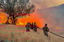 İçişleri Bakanlığı'ndan orman yangınları açıklaması: 23 gözaltı 4 tutuklama