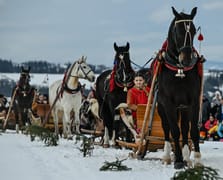 Polonya’da kış festivali: Podhale yaylacı kültürü karlar üzerinde yaşatılıyor