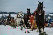 Polonya’da kış festivali: Podhale yaylacı kültürü karlar üzerinde yaşatılıyor