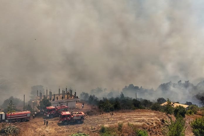 Suriye'de orman yangınlarıyla ilgili gözaltılar başladı