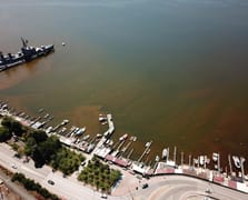 İzmit Körfezi'nde ürküten görüntü