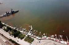 İzmit Körfezi'nde ürküten görüntü