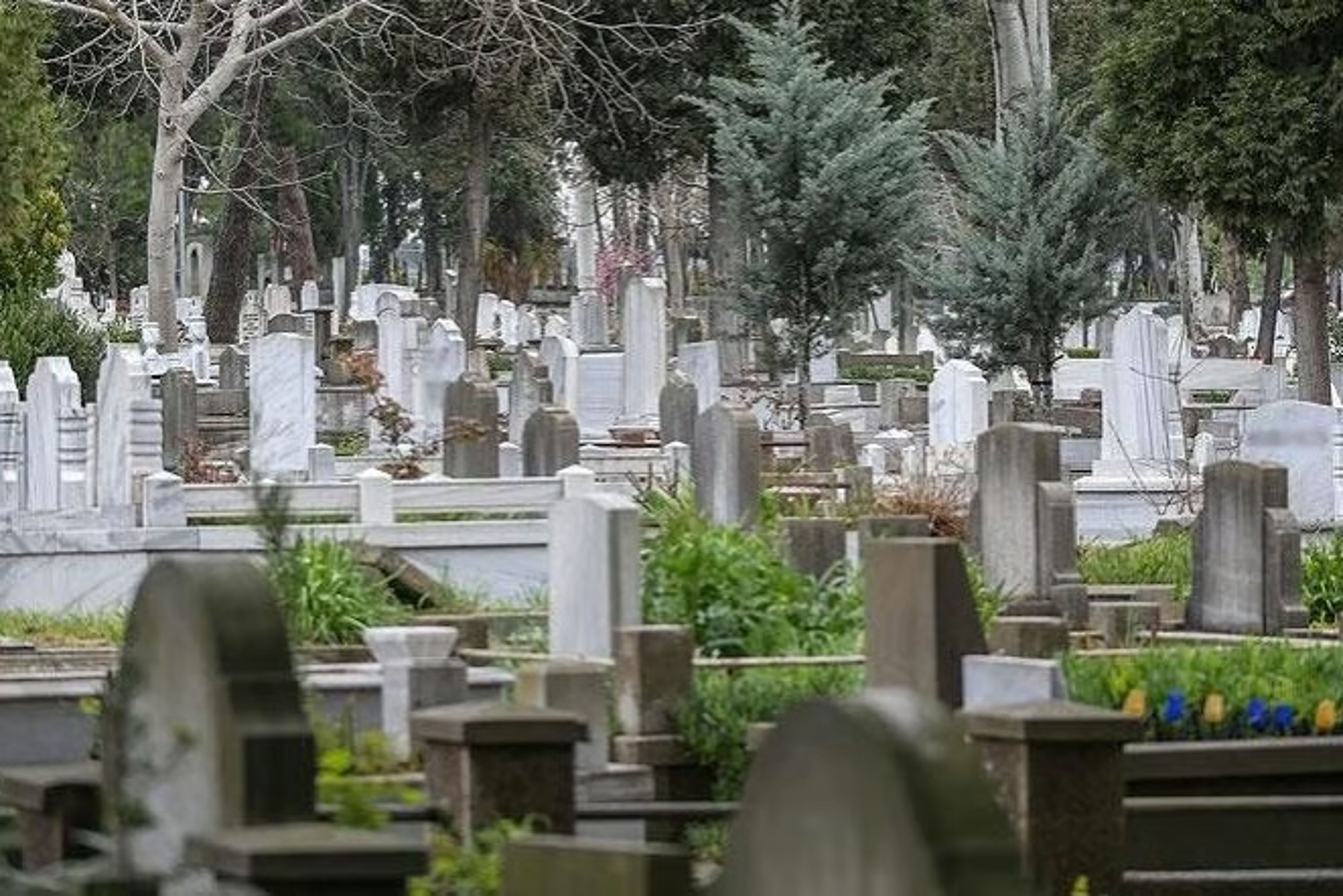 İstanbul'da en pahalı boş mezar yeri ücreti 334 Bin 896 TL