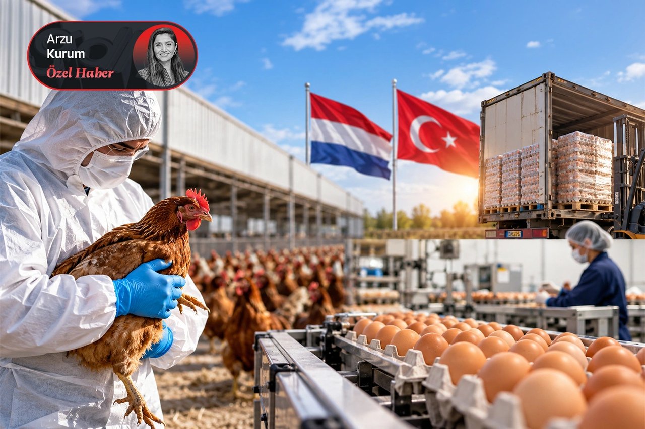 Yumurta fiyatlarında algı uyarısı! Avrupa'daki kuş gribi Türkiye için yeni bir ihracat fırsatına dönüşebilir