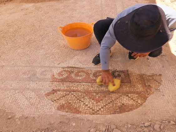 Dara Antik Kenti'nde 1500 yıllık mozaik gün yüzüne çıkarıldı