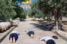 İsrailli işgalciler Aksa’ya baskın düzenledi