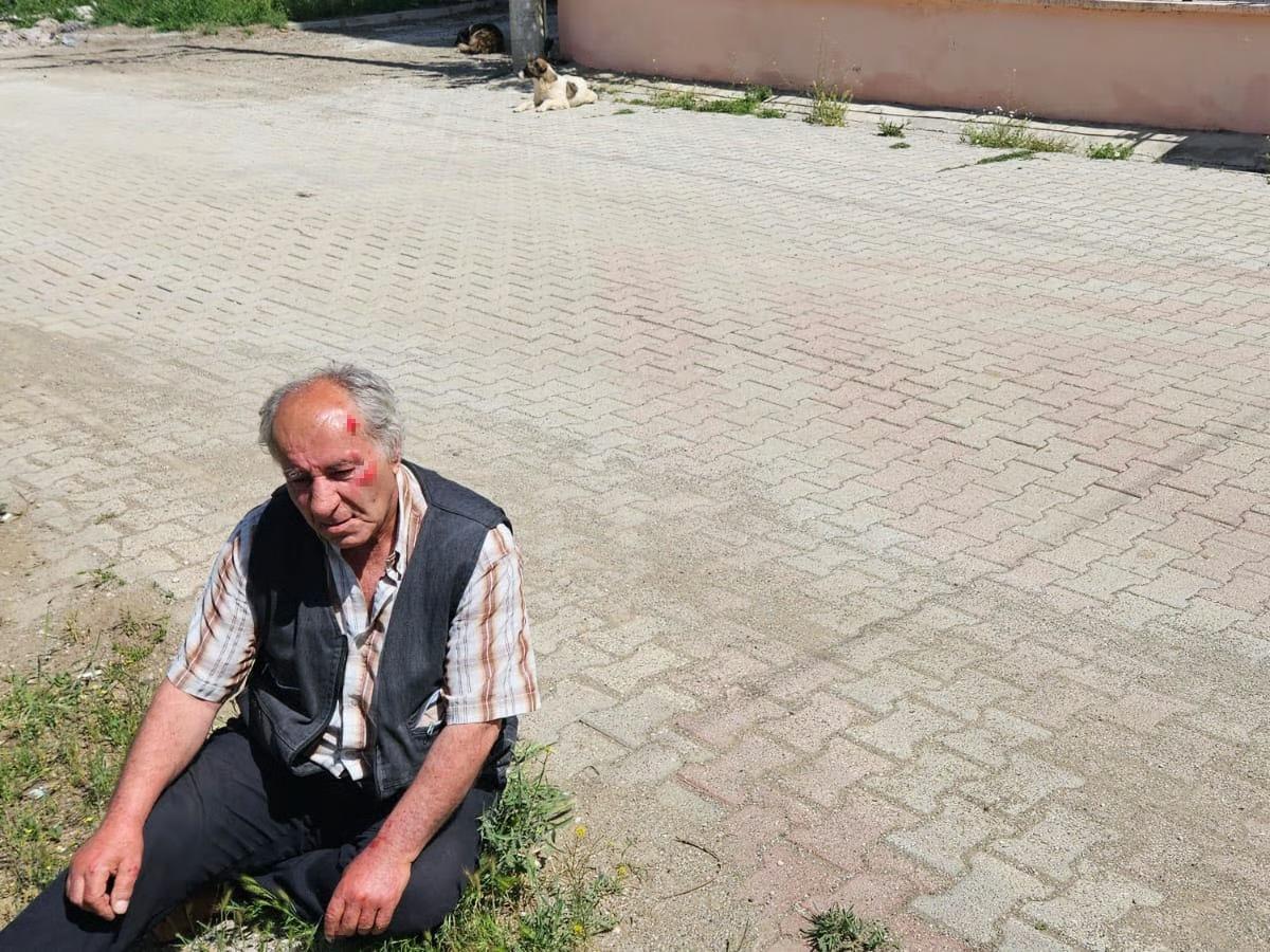 Başıboş köpeklerden kaçarken düşerek yaralandı