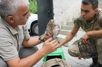 Yaban hayatı korumak için mücadele ediyorlar