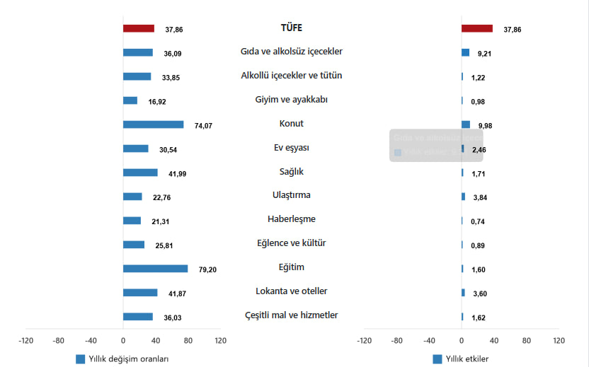 TÜFE ana harcama gruplarının yıllık değişim oranları ve genel endeks değişimine etkileri(%), Nisan 2025 - TÜİK