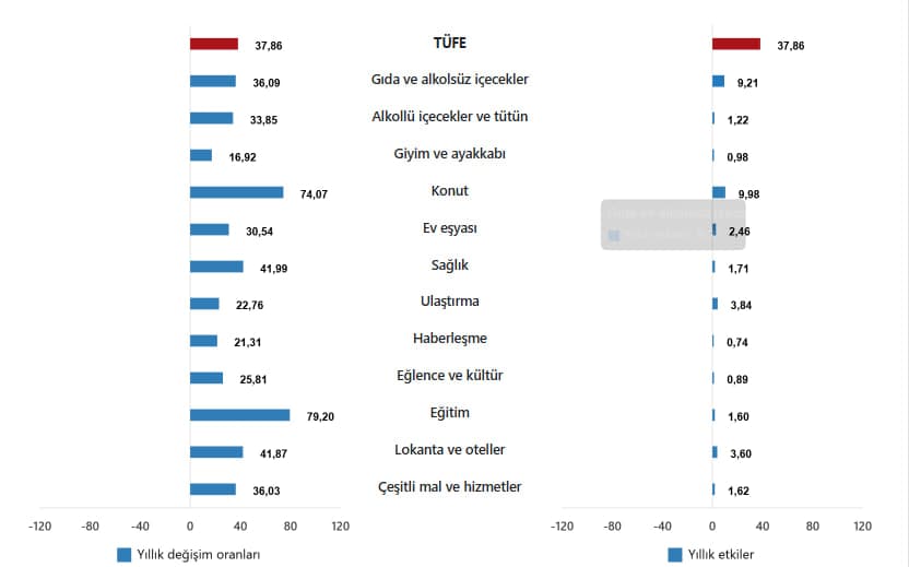 TÜFE ana harcama gruplarının yıllık değişim oranları ve genel endeks değişimine etkileri(%), Nisan 2025 - TÜİK