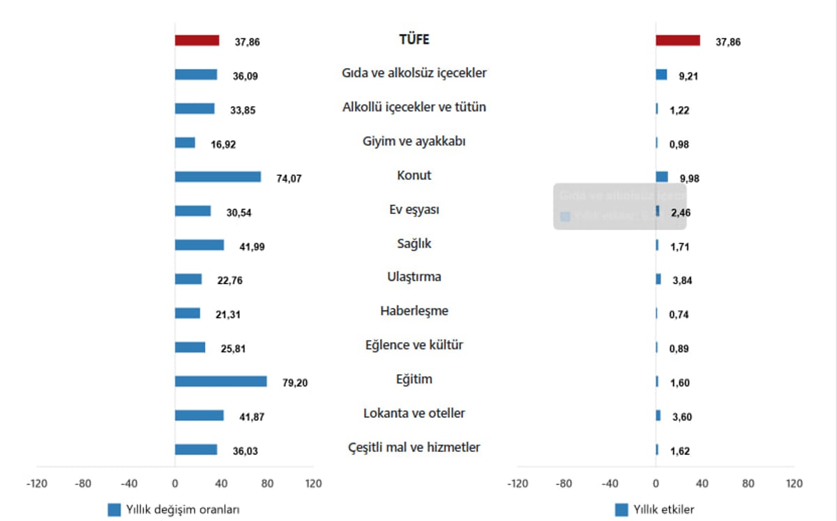 TÜFE ana harcama gruplarının yıllık değişim oranları ve genel endeks değişimine etkileri(%), Nisan 2025 - TÜİK