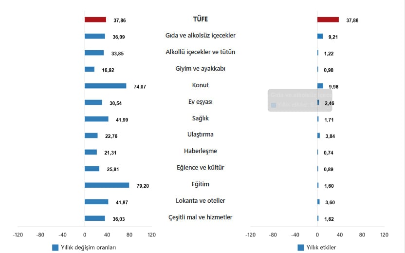 TÜFE ana harcama gruplarının yıllık değişim oranları ve genel endeks değişimine etkileri(%), Nisan 2025 - TÜİK