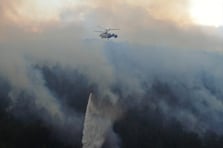 Bolu Mengen'de orman yangını çıktı: Havadan ve karadan müdahale sürüyor