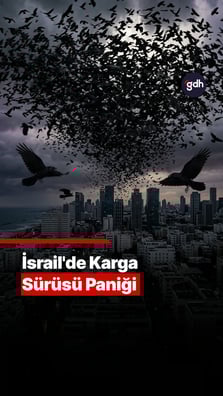 İsrail'de neden kargalar görüldü?