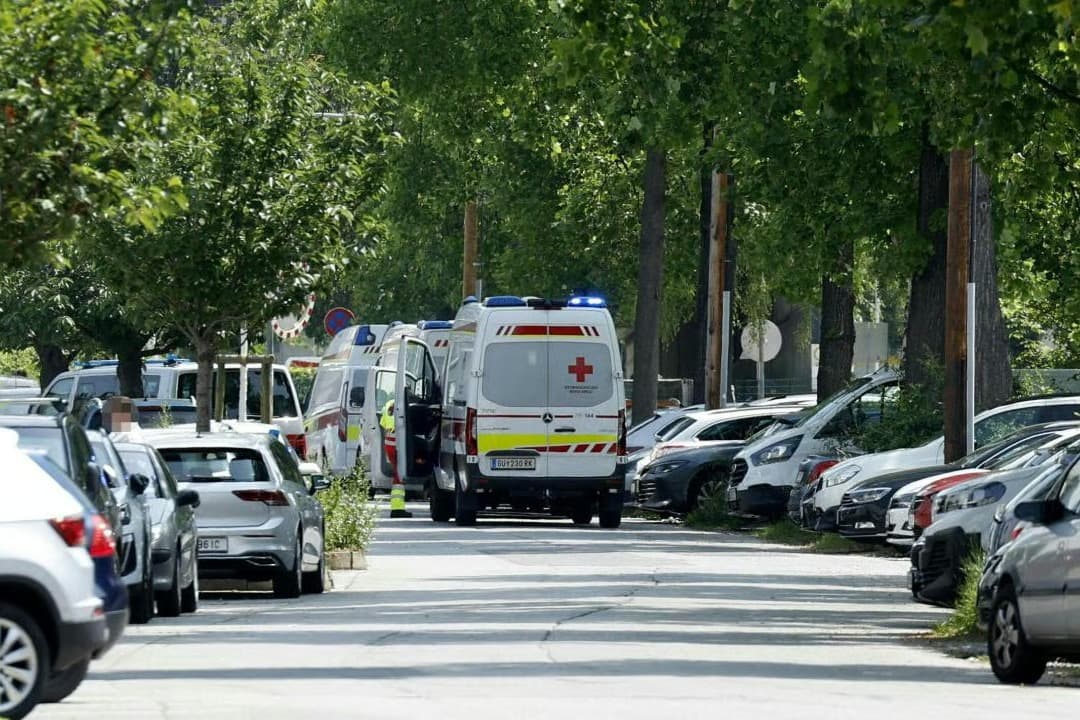 Avusturya'nın Graz kentindeki  bir okula saldırı: En az 11 ölü