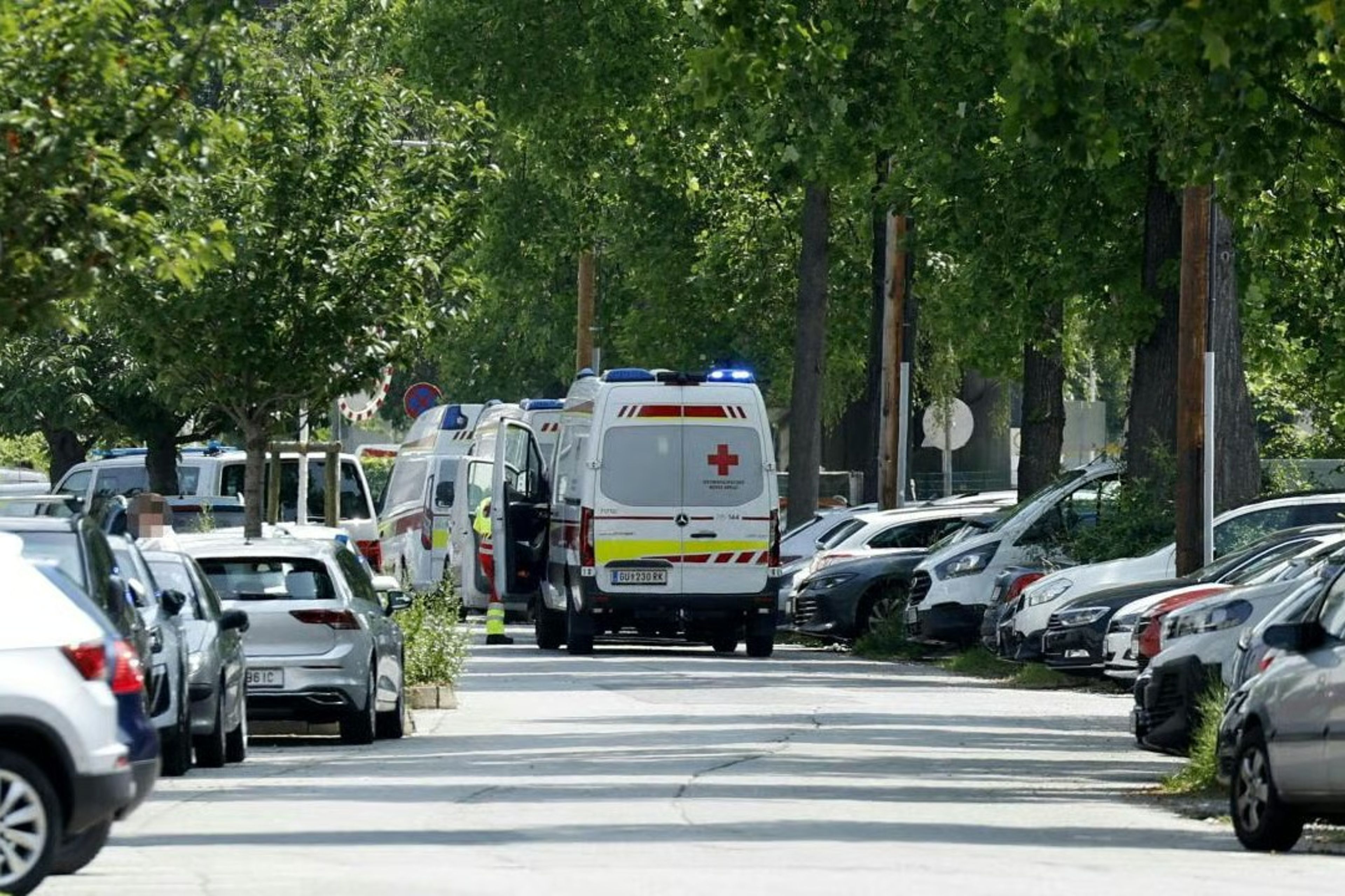 Avusturya'nın Graz kentindeki  bir okula saldırı: En az 11 ölü