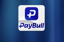 Paybull’a operasyon: 25 şüpheli gözaltında! 