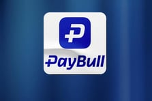 Paybull’a operasyon: 25 şüpheli gözaltında! 