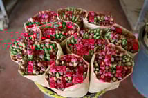 Türk çiçek sektöründe yeni dönem: 10’dan fazla tür dünyaya açıldı