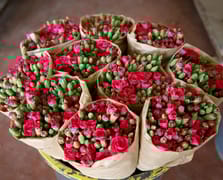 Türk çiçek sektöründe yeni dönem: 10’dan fazla tür dünyaya açıldı