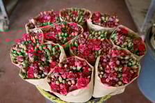 Türk çiçek sektöründe yeni dönem: 10’dan fazla tür dünyaya açıldı