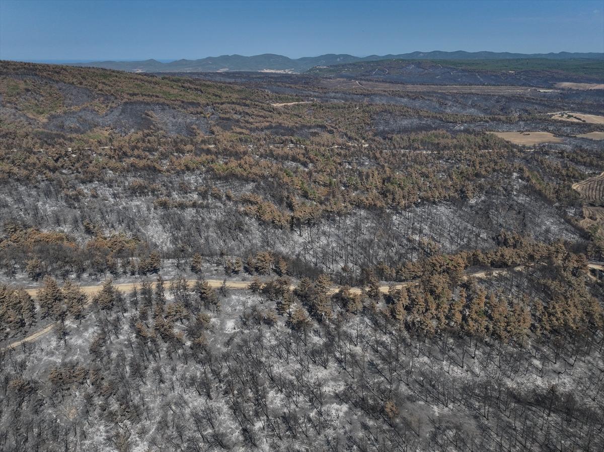 Çanakkale Gelibolu'daki orman yangını kontrol altına alındı