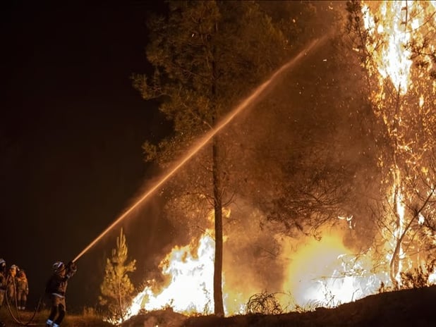 İspanya'da yazın başından beri 36 bin hektar alan kül oldu