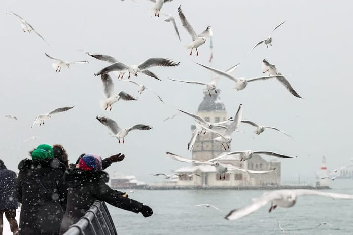 Meteoroloji'den 68 il için sarı kodlu uyarı: Fırtına yerini kar yağışına bırakıyor