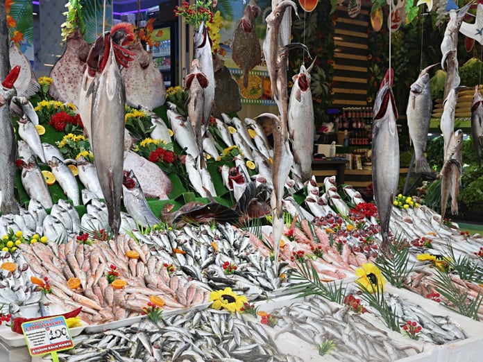 Balık fiyatları | Palamut, İstavrit, Levrek, mezgit, hamsi balık fiyatları ne kadar, kaç TL?