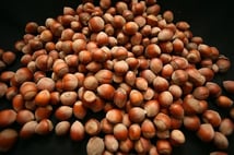 Türk fındığı 2025'te 122 ülkede alıcı buldu