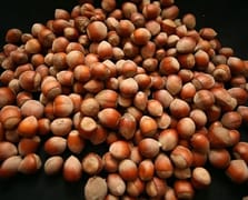 Türk fındığı 2025'te 122 ülkede alıcı buldu