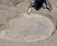 Elazığ'daki kazılarda 6 bin yıllık 'boğa başlı sunak' bulundu