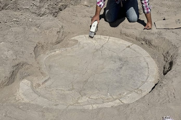 Elazığ'daki kazılarda 6 bin yıllık 'boğa başlı sunak' bulundu