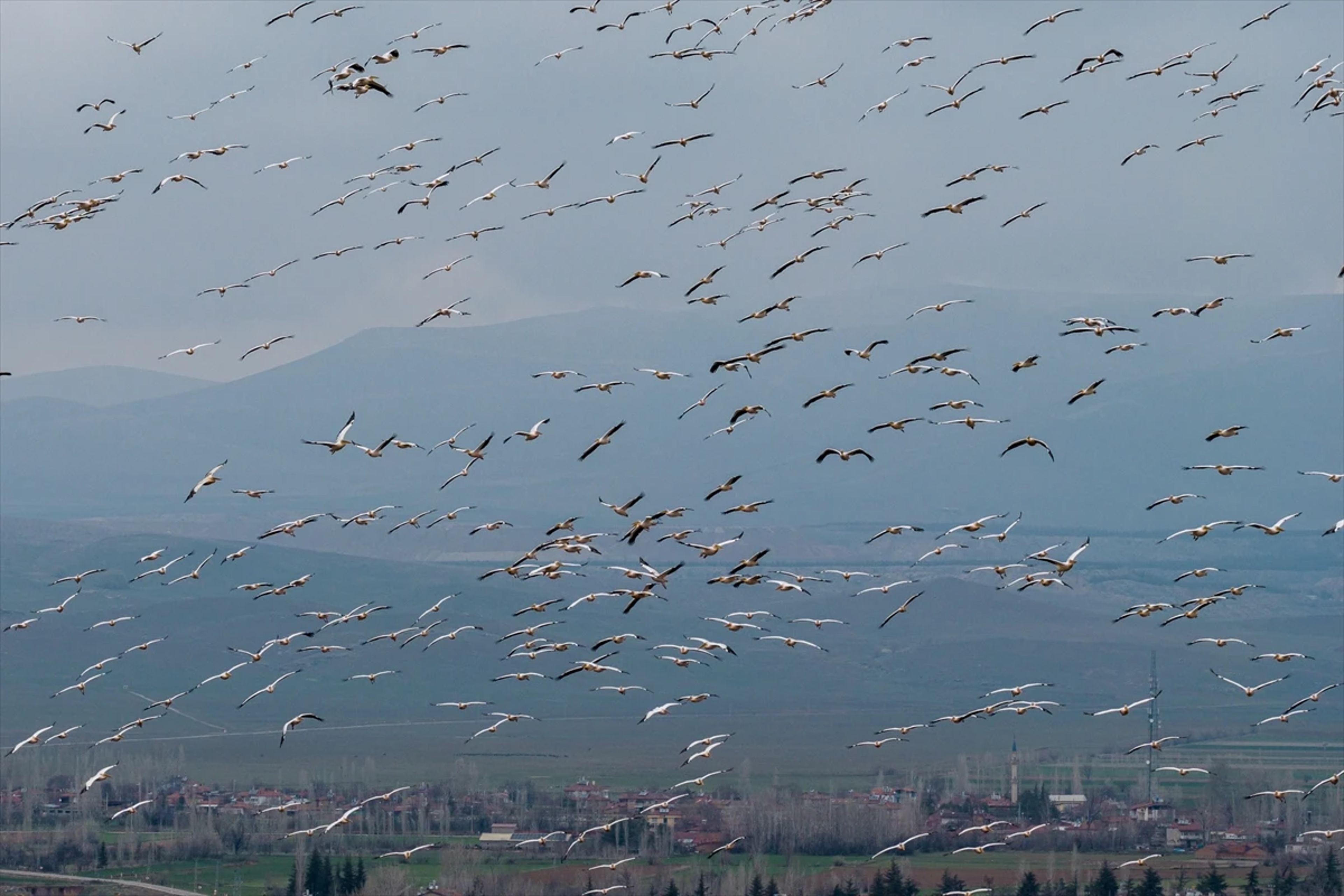 Galeri Fotoğrafı