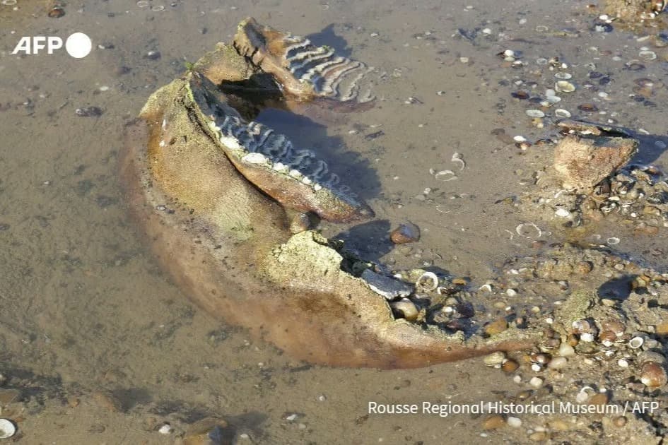 Tuna Nehri'nin kurumuş yatağında mamut kemikleri bulundu