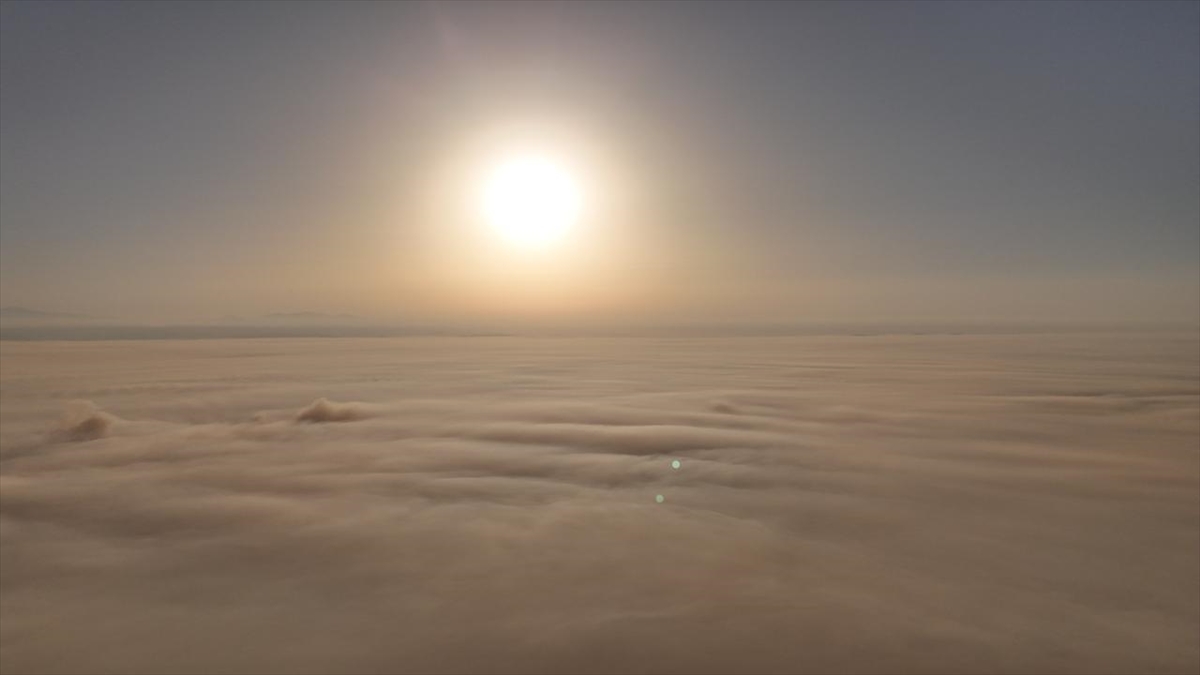Galeri Fotoğrafı