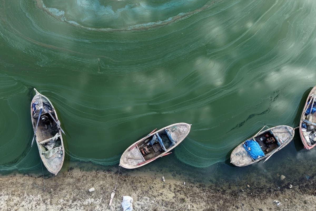 Manisa'daki Demirköprü Barajı yosunla kaplandı