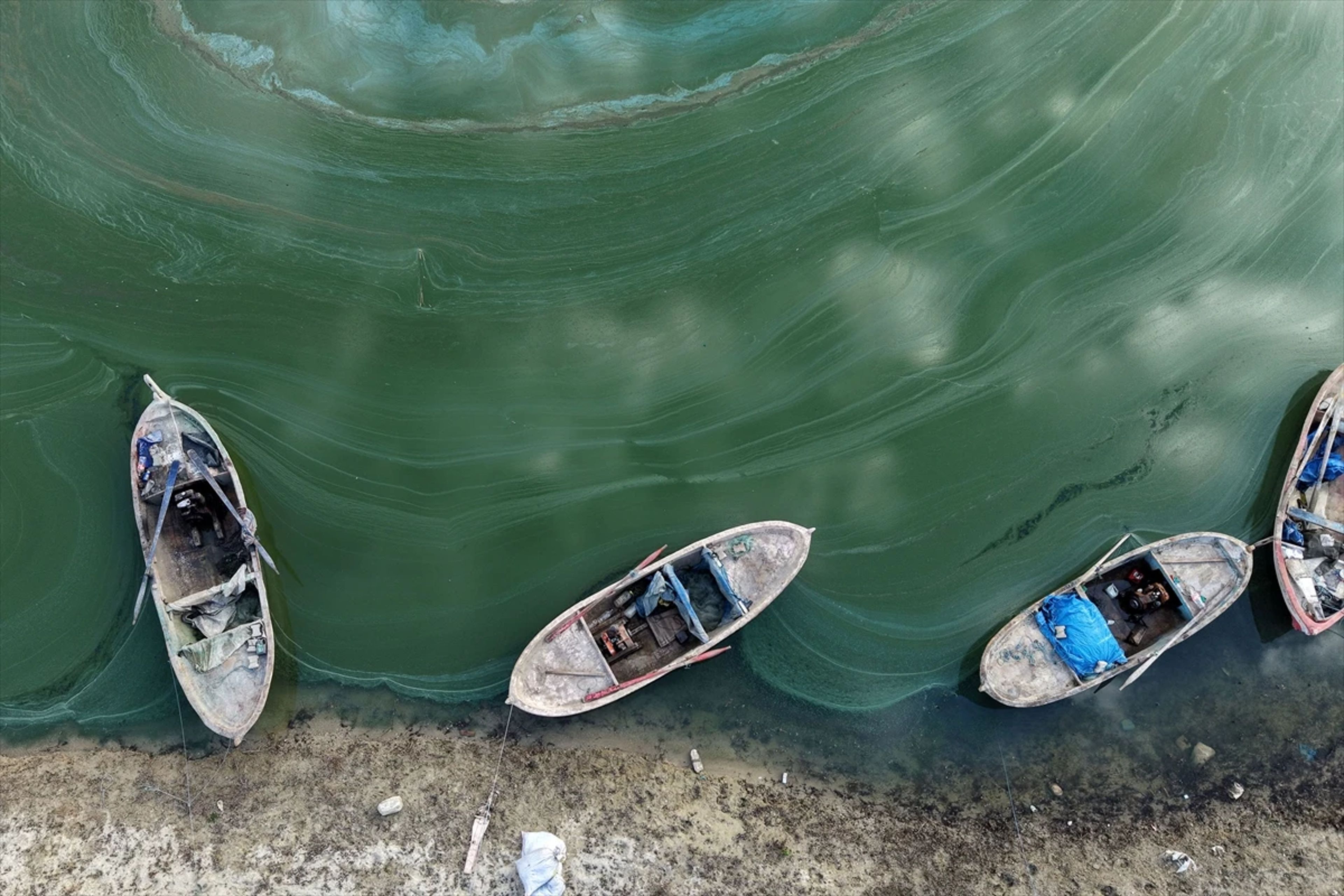 Galeri Fotoğrafı