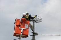 Trakya’da göçmen kuşlara güvenli göç yolu: 1000 özel platform kuruldu